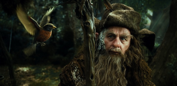 16 Hobbit Voyage Inattendu Radagast